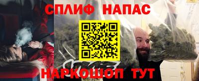индика Кунгур